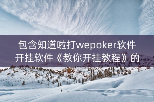 包含知道啦打wepoker软件开挂软件《教你开挂教程》的词条