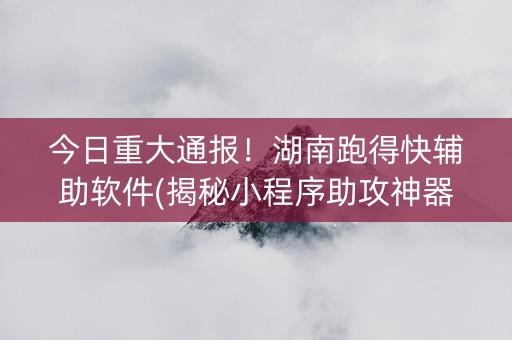 今日重大通报！湖南跑得快辅助软件(揭秘小程序助攻神器)