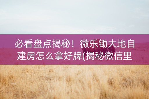 必看盘点揭秘！微乐锄大地自建房怎么拿好牌(揭秘微信里胡牌神器)
