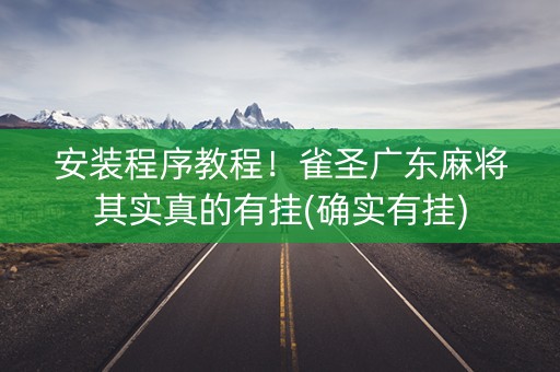 安装程序教程！雀圣广东麻将其实真的有挂(确实有挂)