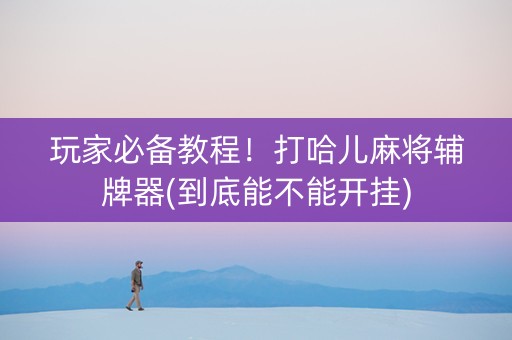 玩家必备教程！打哈儿麻将辅牌器(到底能不能开挂)