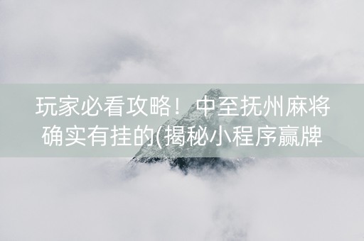 玩家必看攻略！中至抚州麻将确实有挂的(揭秘小程序赢牌的技巧)