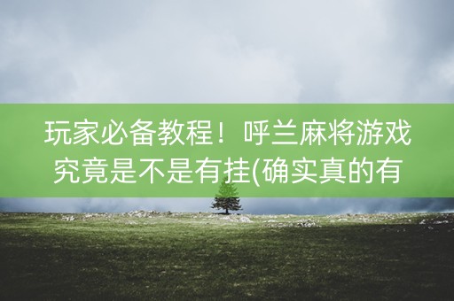 玩家必备教程！呼兰麻将游戏究竟是不是有挂(确实真的有挂)
