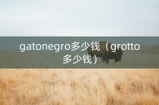 gatonegro多少钱（grotto多少钱）
