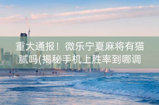 重大通报！微乐宁夏麻将有猫腻吗(揭秘手机上胜率到哪调)