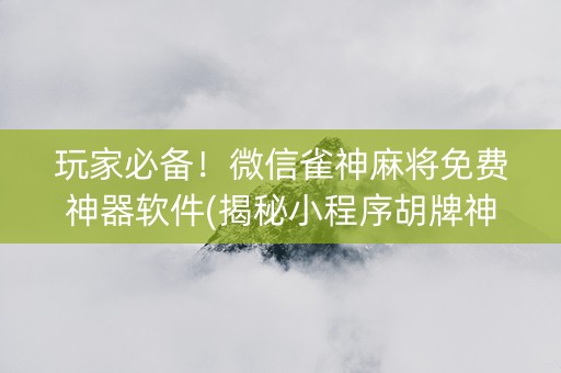 玩家必备！微信雀神麻将免费神器软件(揭秘小程序胡牌神器)