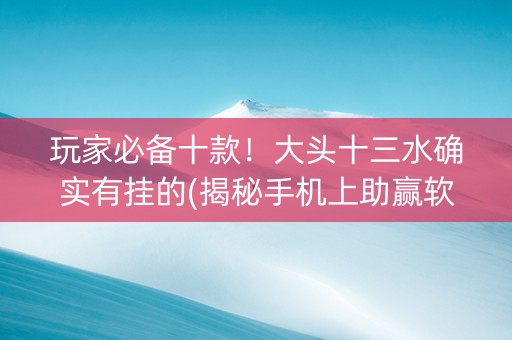 玩家必备十款！大头十三水确实有挂的(揭秘手机上助赢软件)
