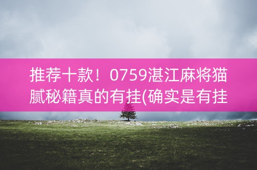 推荐十款！0759湛江麻将猫腻秘籍真的有挂(确实是有挂)