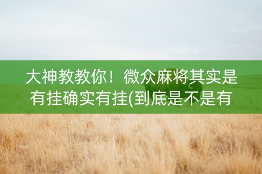 大神教教你！微众麻将其实是有挂确实有挂(到底是不是有挂)