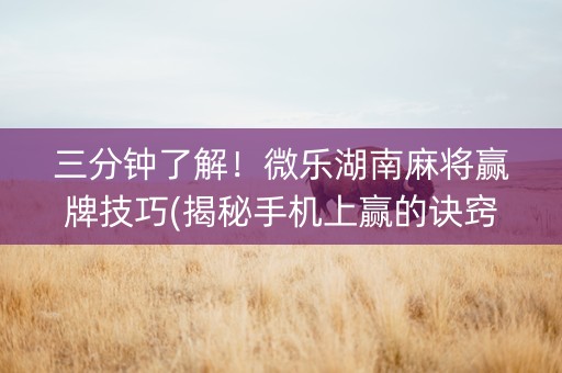 三分钟了解！微乐湖南麻将赢牌技巧(揭秘手机上赢的诀窍)