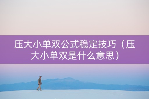 压大小单双公式稳定技巧（压大小单双是什么意思）