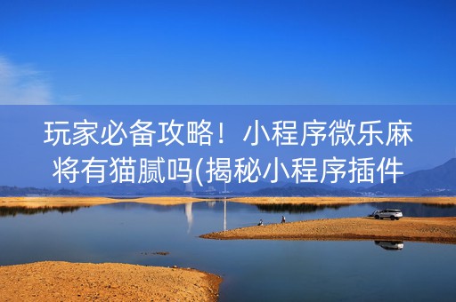 玩家必备攻略！小程序微乐麻将有猫腻吗(揭秘小程序插件免费)
