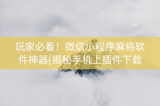 玩家必看！微信小程序麻将软件神器(揭秘手机上插件下载)