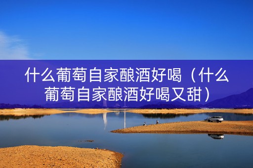 什么葡萄自家酿酒好喝（什么葡萄自家酿酒好喝又甜）