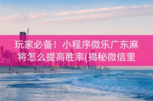 玩家必备！小程序微乐广东麻将怎么提高胜率(揭秘微信里必备神器)