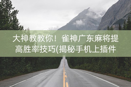 大神教教你！雀神广东麻将提高胜率技巧(揭秘手机上插件下载)