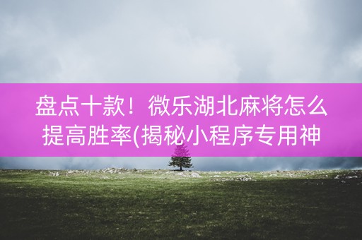 盘点十款！微乐湖北麻将怎么提高胜率(揭秘小程序专用神器下载)