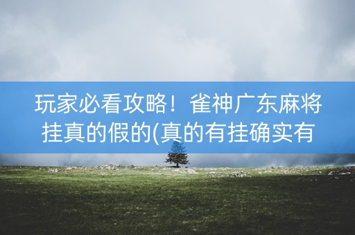 玩家必看攻略！雀神广东麻将挂真的假的(真的有挂确实有挂)