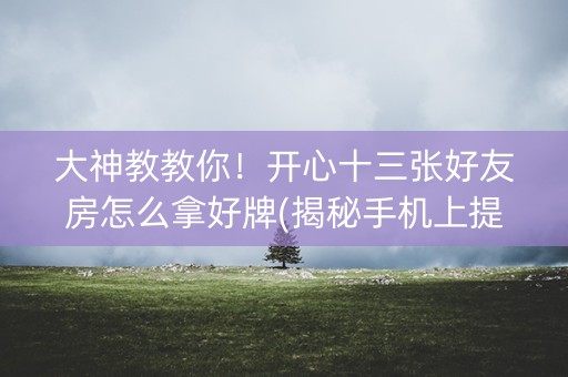 大神教教你！开心十三张好友房怎么拿好牌(揭秘手机上提高胜率)