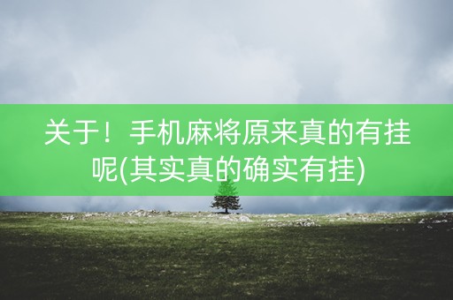 关于！手机麻将原来真的有挂呢(其实真的确实有挂)
