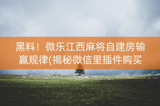 黑料！微乐江西麻将自建房输赢规律(揭秘微信里插件购买)