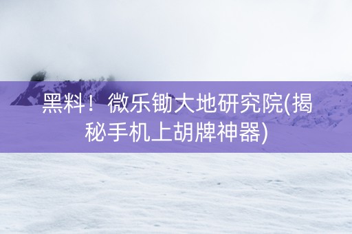 黑料！微乐锄大地研究院(揭秘手机上胡牌神器)