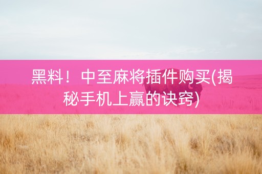 黑料！中至麻将插件购买(揭秘手机上赢的诀窍)