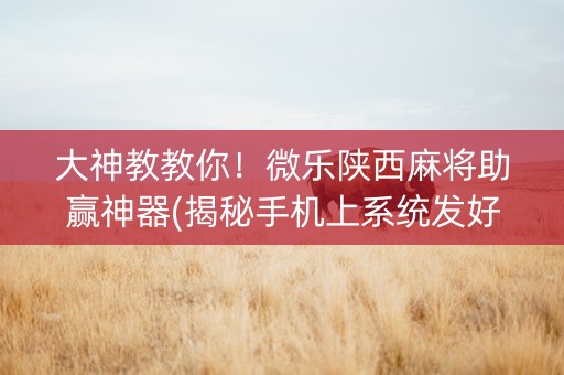 大神教教你！微乐陕西麻将助赢神器(揭秘手机上系统发好牌)