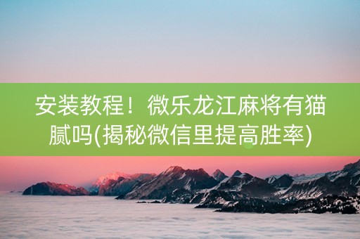 安装教程！微乐龙江麻将有猫腻吗(揭秘微信里提高胜率)