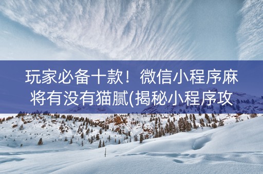 玩家必备十款！微信小程序麻将有没有猫腻(揭秘小程序攻略插件)