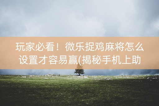 玩家必看！微乐捉鸡麻将怎么设置才容易赢(揭秘手机上助赢软件)