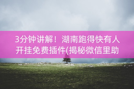 3分钟讲解！湖南跑得快有人开挂免费插件(揭秘微信里助攻神器)