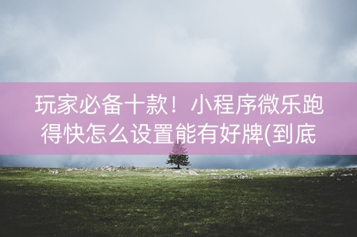 玩家必备十款！小程序微乐跑得快怎么设置能有好牌(到底能不能开挂)