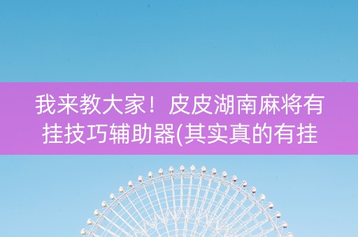 我来教大家！皮皮湖南麻将有挂技巧辅助器(其实真的有挂)