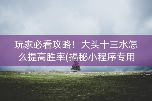玩家必看攻略！大头十三水怎么提高胜率(揭秘小程序专用神器下载)