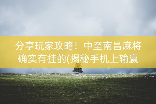 分享玩家攻略！中至南昌麻将确实有挂的(揭秘手机上输赢规律)