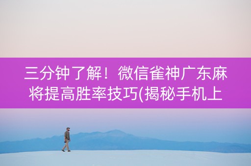 三分钟了解！微信雀神广东麻将提高胜率技巧(揭秘手机上助手软件)
