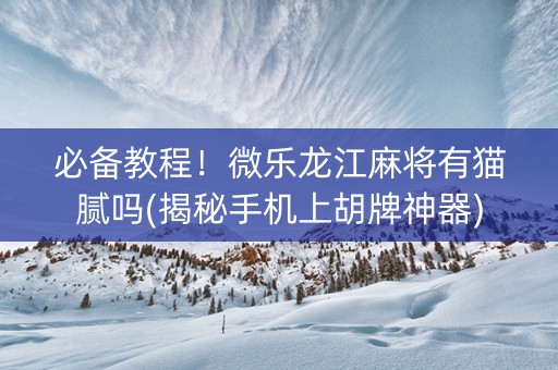 必备教程！微乐龙江麻将有猫腻吗(揭秘手机上胡牌神器)