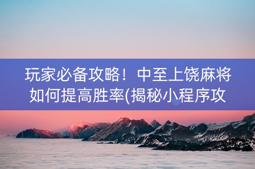 玩家必备攻略！中至上饶麻将如何提高胜率(揭秘小程序攻略插件)