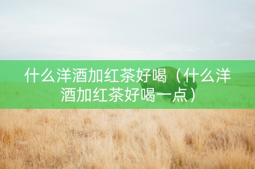 什么洋酒加红茶好喝（什么洋酒加红茶好喝一点）