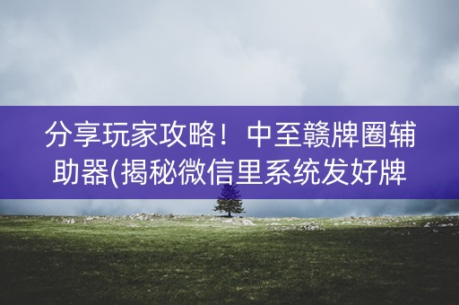 分享玩家攻略！中至赣牌圈辅助器(揭秘微信里系统发好牌)