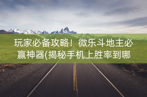 玩家必备攻略！微乐斗地主必赢神器(揭秘手机上胜率到哪调)