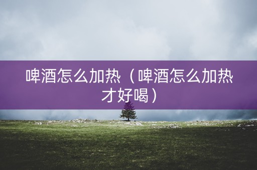 啤酒怎么加热（啤酒怎么加热才好喝）