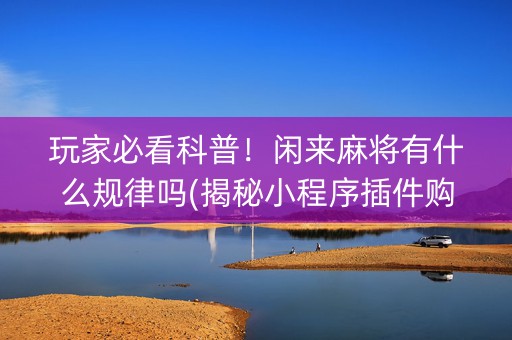玩家必看科普！闲来麻将有什么规律吗(揭秘小程序插件购买)