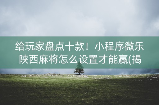 给玩家盘点十款！小程序微乐陕西麻将怎么设置才能赢(揭秘小程序提高赢的概率)