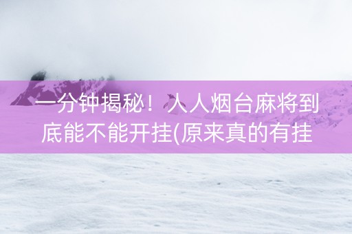 一分钟揭秘！人人烟台麻将到底能不能开挂(原来真的有挂)