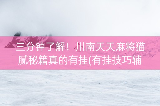 三分钟了解！川南天天麻将猫腻秘籍真的有挂(有挂技巧辅助器)