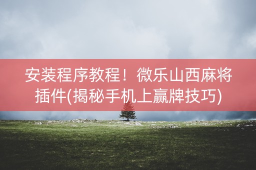 安装程序教程！微乐山西麻将插件(揭秘手机上赢牌技巧)