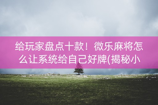 给玩家盘点十款！微乐麻将怎么让系统给自己好牌(揭秘小程序赢的秘诀)