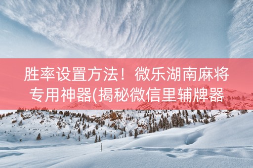 胜率设置方法！微乐湖南麻将专用神器(揭秘微信里辅牌器)